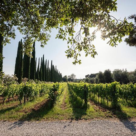 Agriturismo Tra Gli Ulivi, Chiappini Winery Bolgheri Luaran gambar