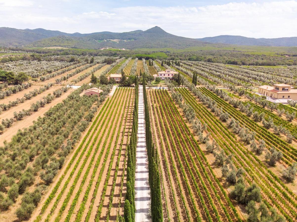 Agriturismo Tra Gli Ulivi, Chiappini Winery Bolgheri Luaran gambar