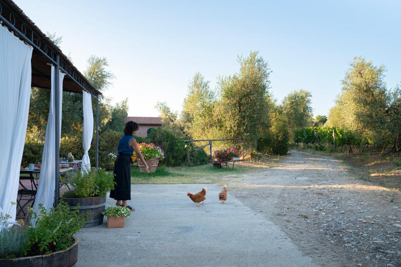 Agriturismo Tra Gli Ulivi, Chiappini Winery Bolgheri Luaran gambar