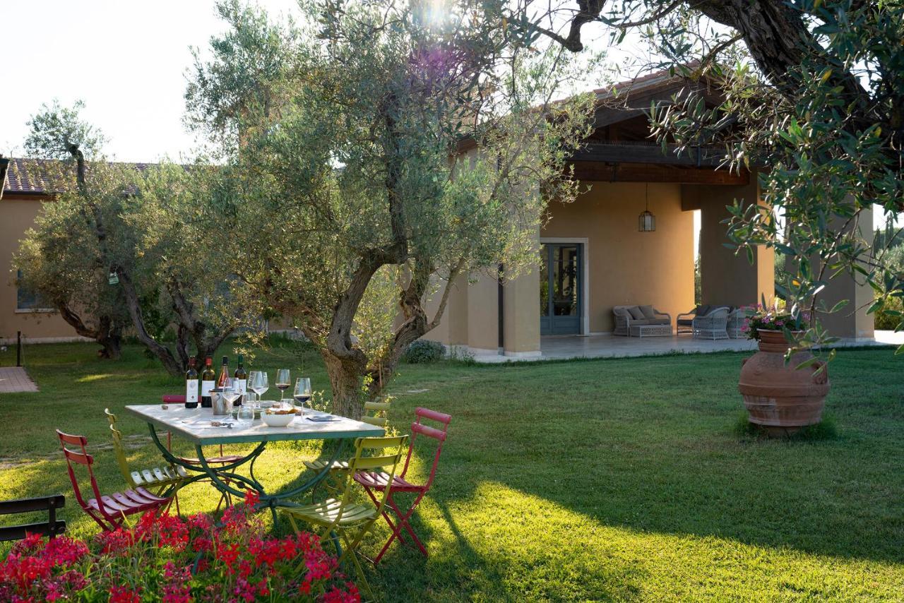 Agriturismo Tra Gli Ulivi, Chiappini Winery Bolgheri Luaran gambar