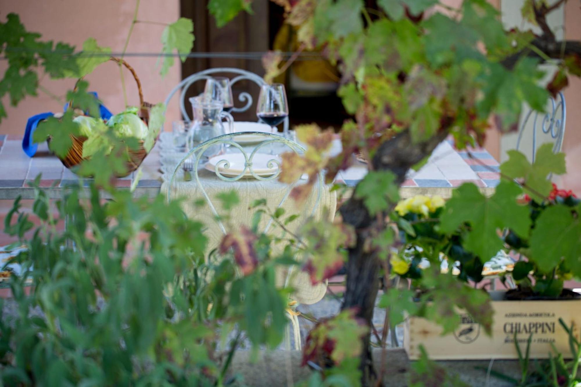 Agriturismo Tra Gli Ulivi, Chiappini Winery Bolgheri Luaran gambar