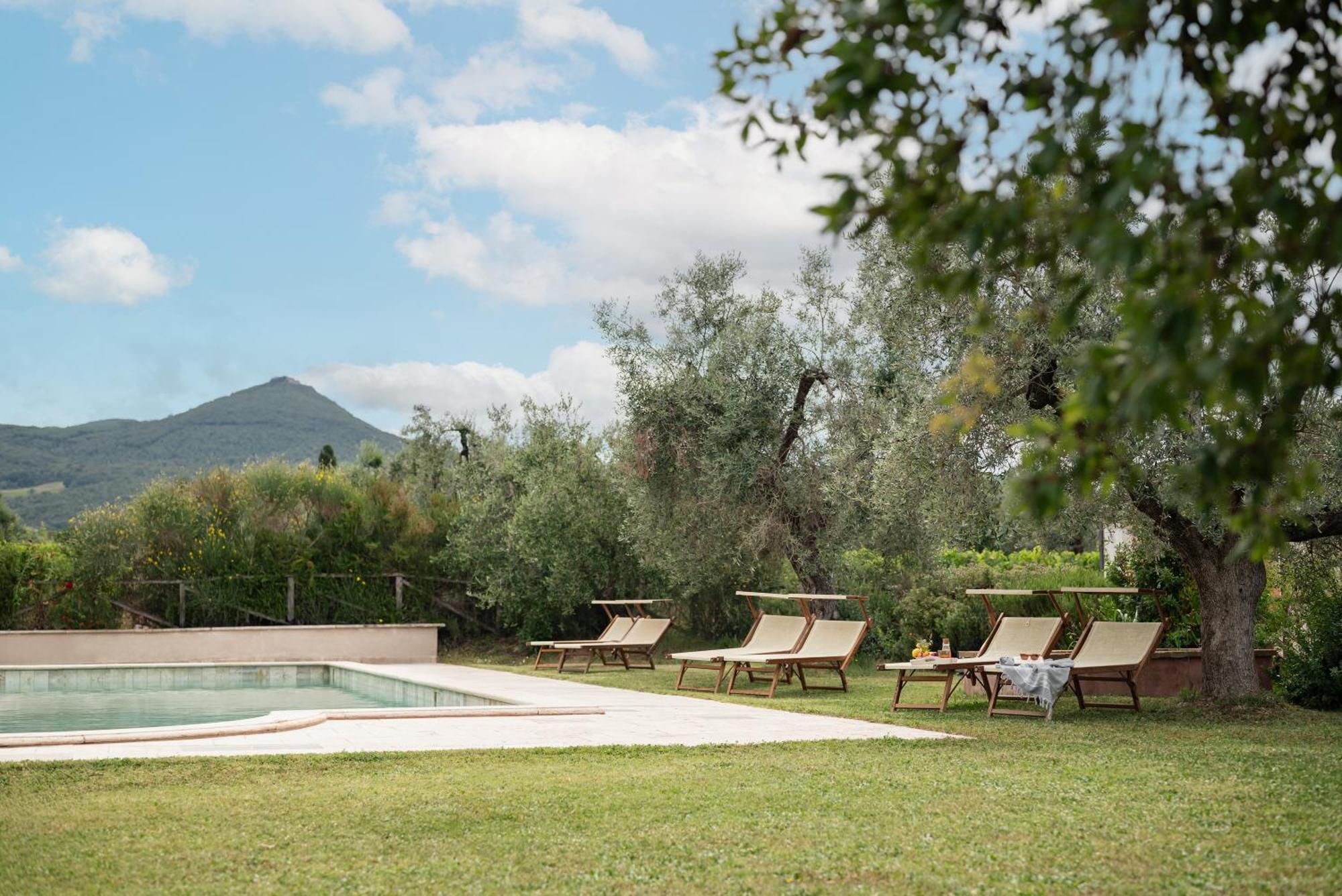 Agriturismo Tra Gli Ulivi, Chiappini Winery Bolgheri Luaran gambar
