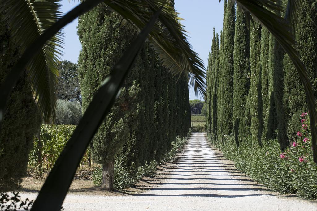 Agriturismo Tra Gli Ulivi, Chiappini Winery Bolgheri Luaran gambar