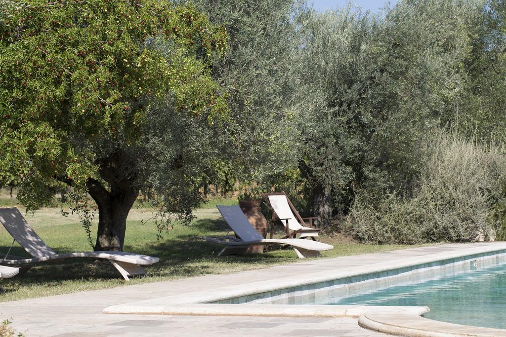 Agriturismo Tra Gli Ulivi, Chiappini Winery Bolgheri Luaran gambar