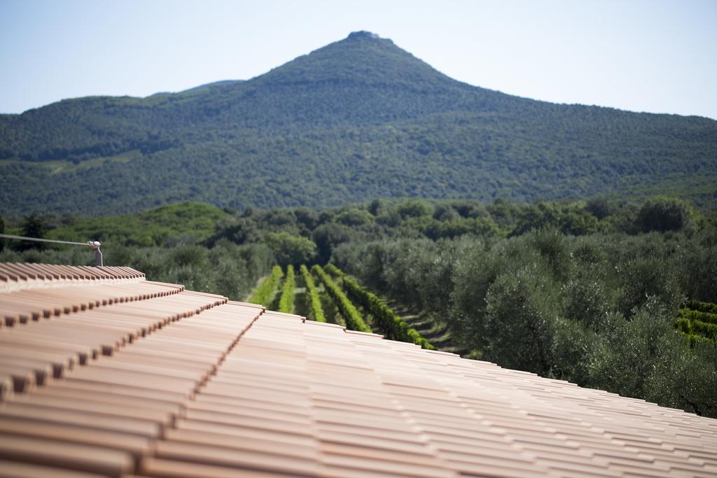 Agriturismo Tra Gli Ulivi, Chiappini Winery Bolgheri Luaran gambar