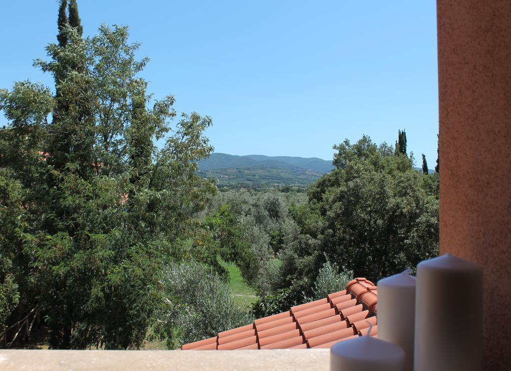Agriturismo Tra Gli Ulivi, Chiappini Winery Bolgheri Luaran gambar